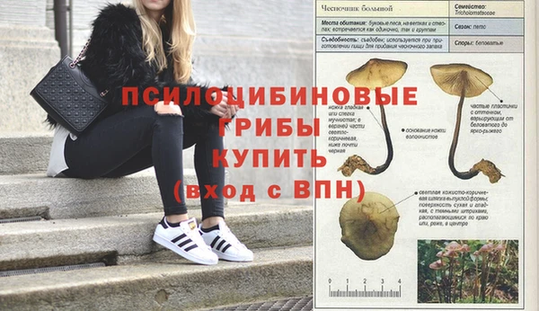 меф Абдулино